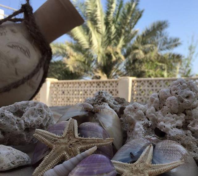 اتاق صُحاره