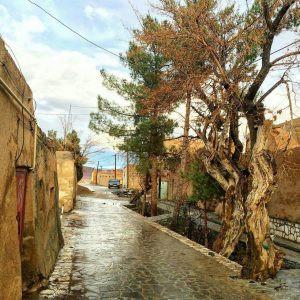 اتاق تابستان