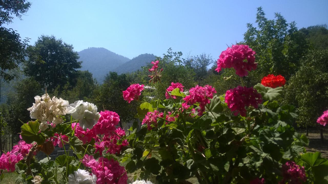 اجاره ویلا طاسکوه ماسال