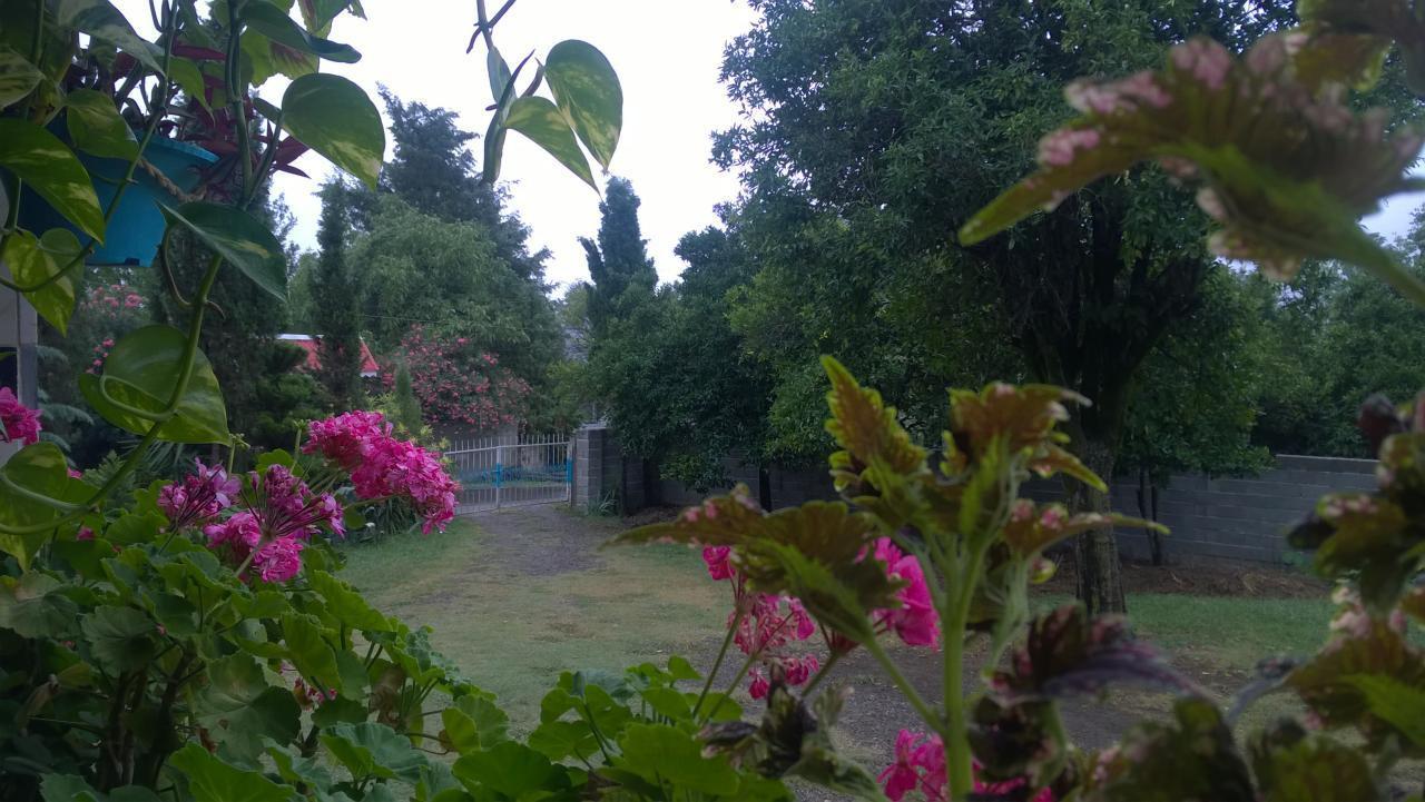 اجاره ویلا طاسکوه ماسال