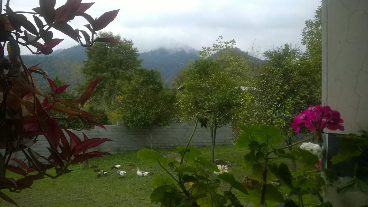 اجاره ویلا طاسکوه ماسال