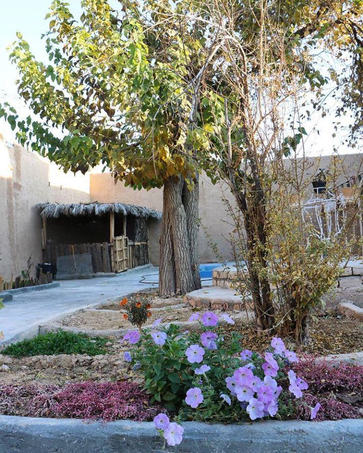 بوم گردی در فسا