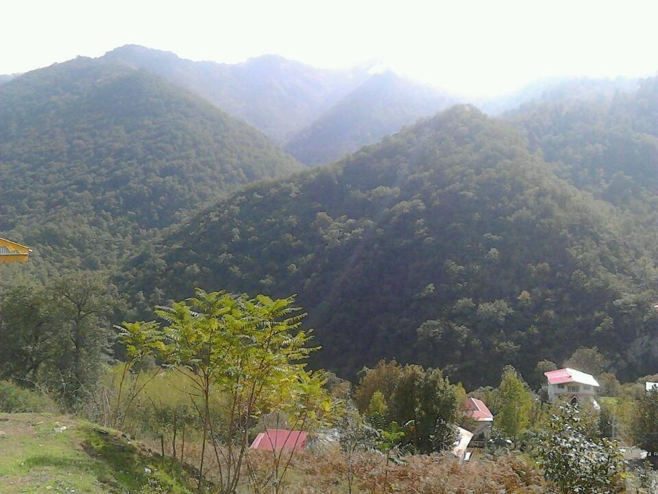 ویلا جنگلی در ییلاق تالش