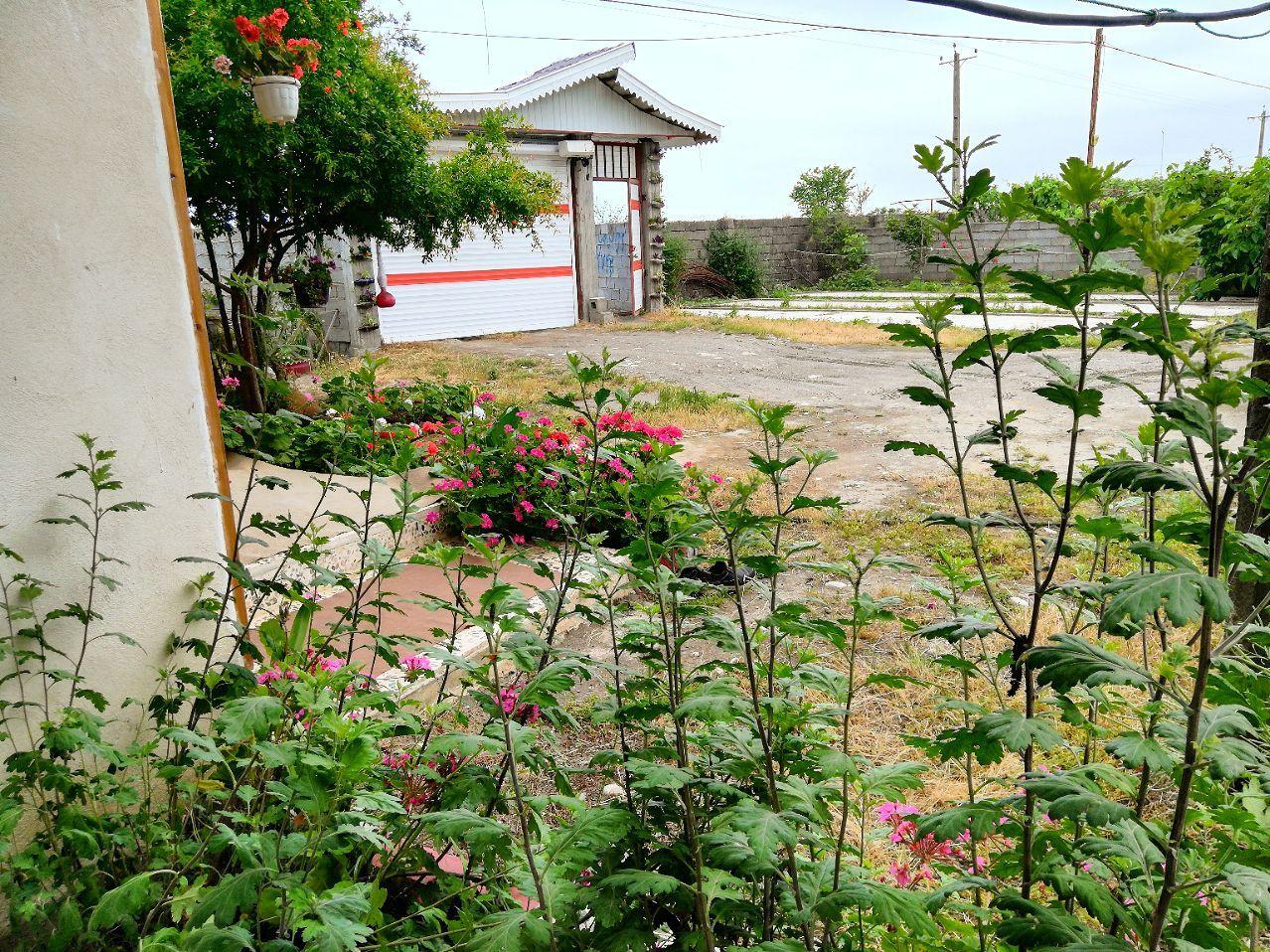 کلبه چوبی  ساحلی  در تالش