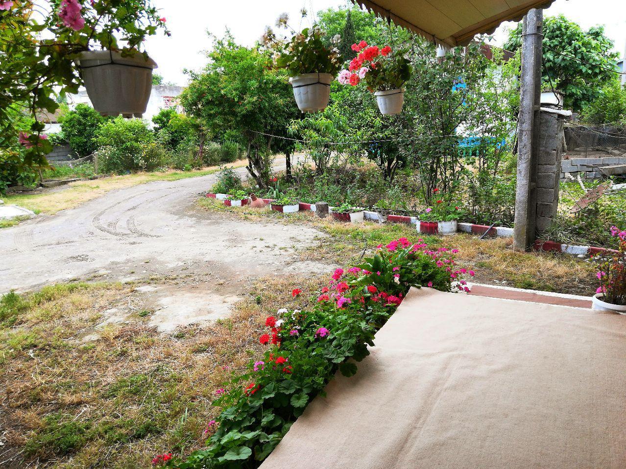 کلبه چوبی  ساحلی  در تالش