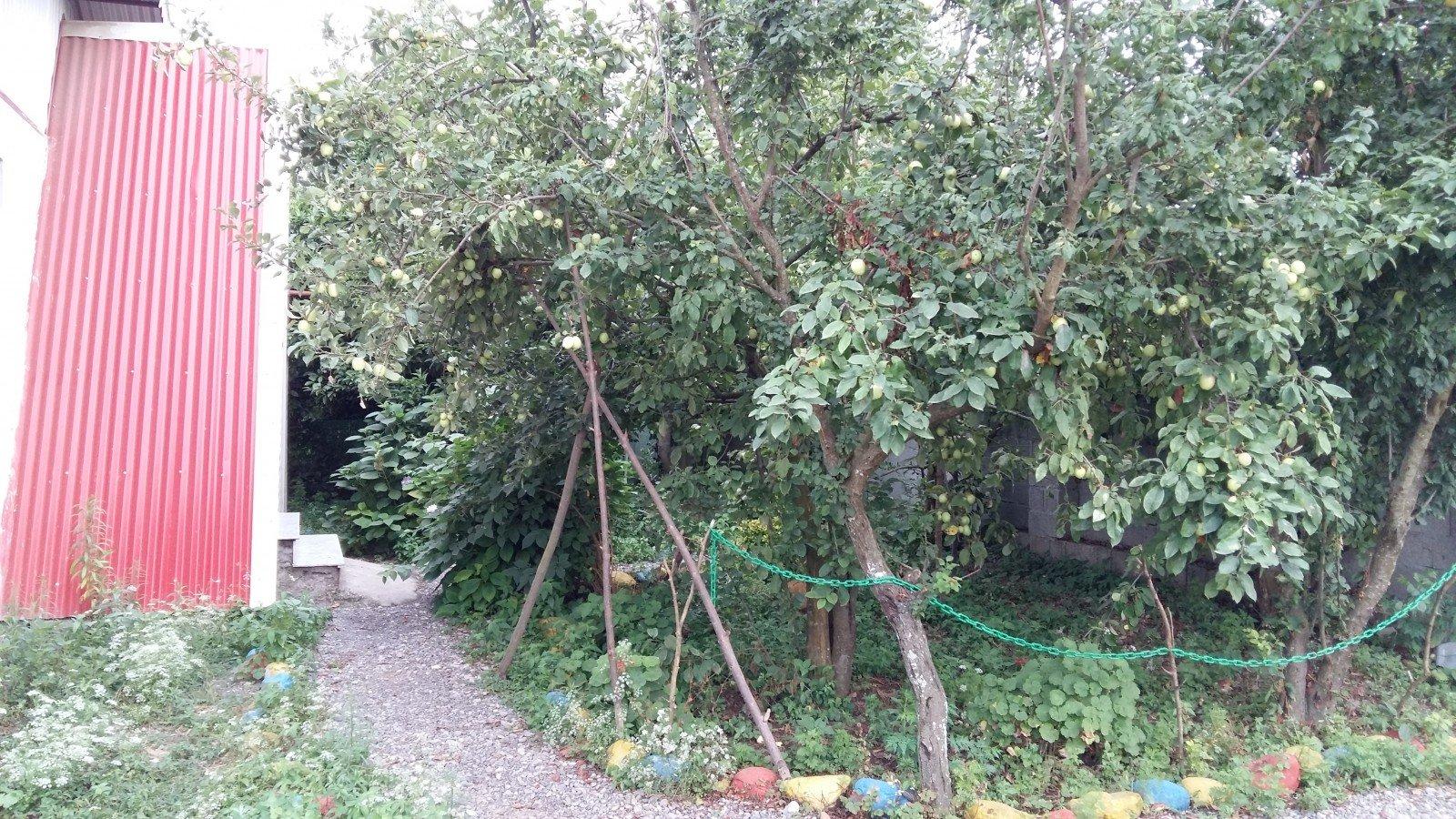 اجاره ویلای دربست ساحلی در تالش