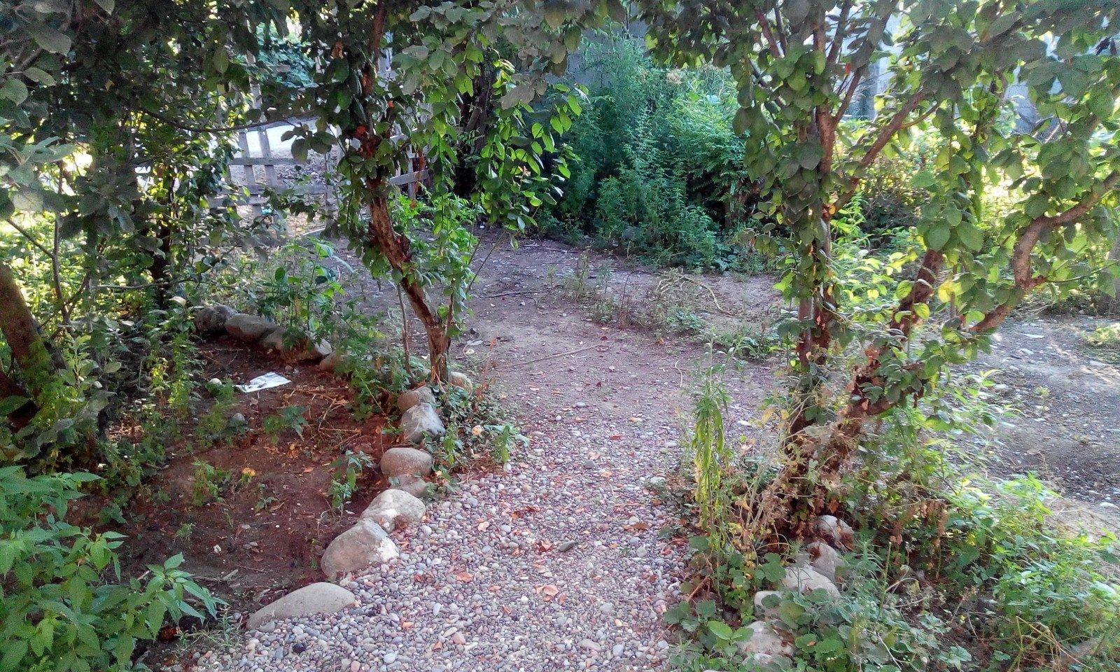 اجاره ویلای دربست ساحلی در تالش