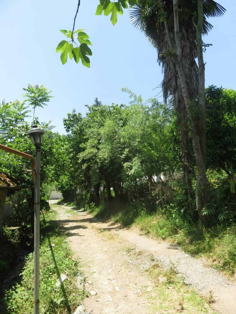 اجاره بوم گردی در تالش