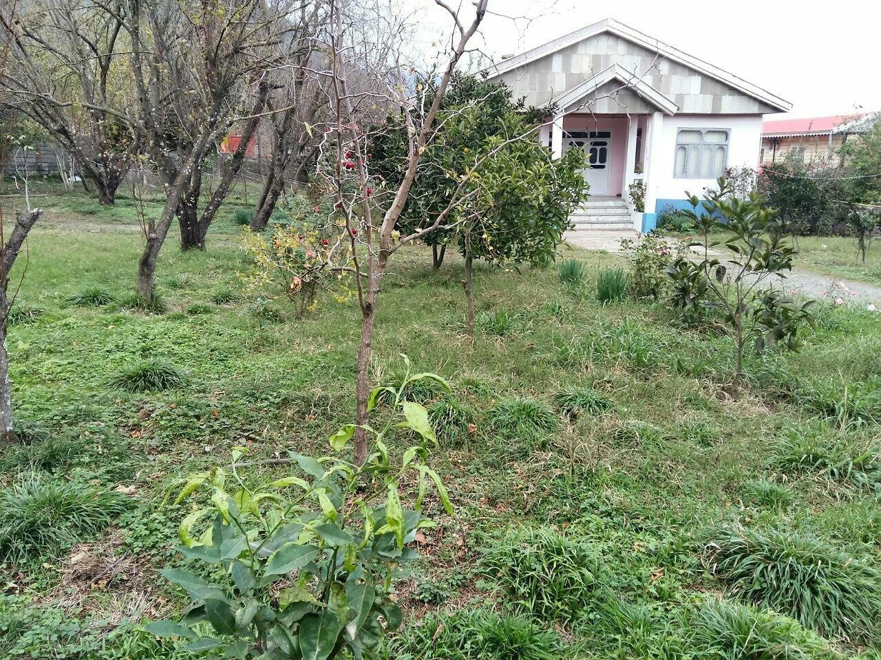 باغ ویلا در تالش جنگلی دربست 