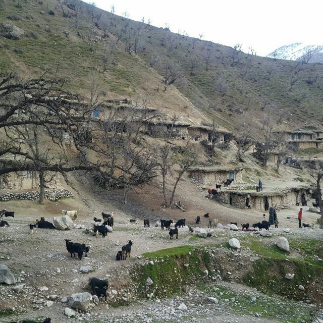 بوم گردی در اردل