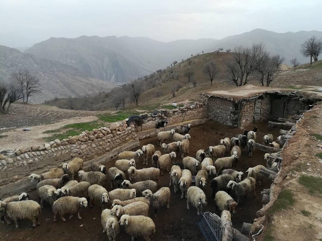 بوم گردی در اردل