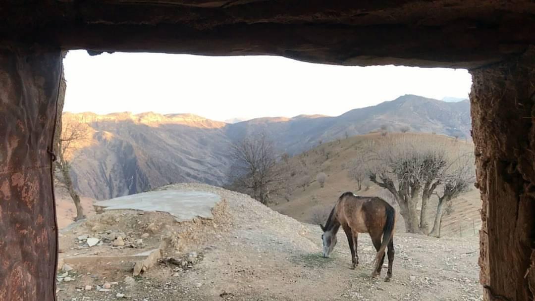 بوم گردی در اردل