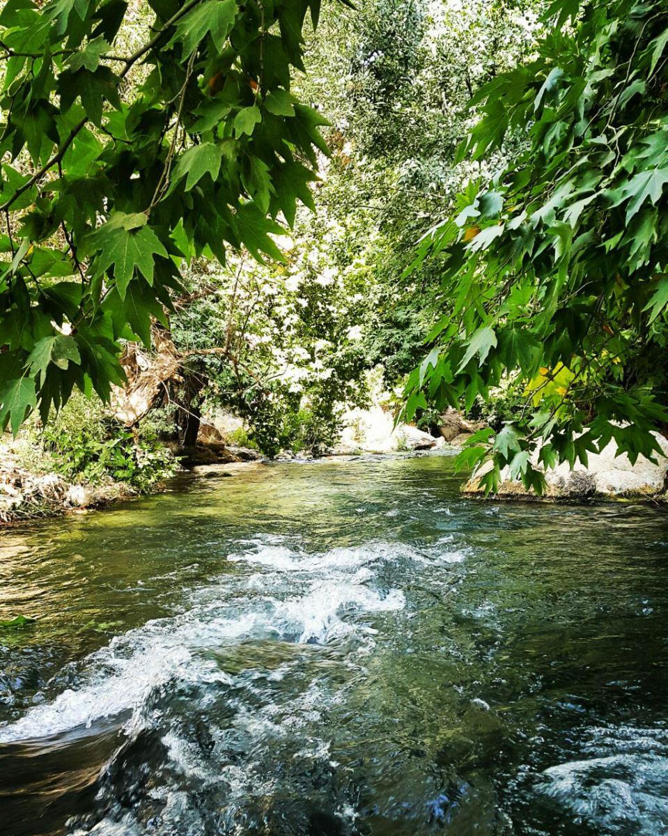 بوم گردی در اردل