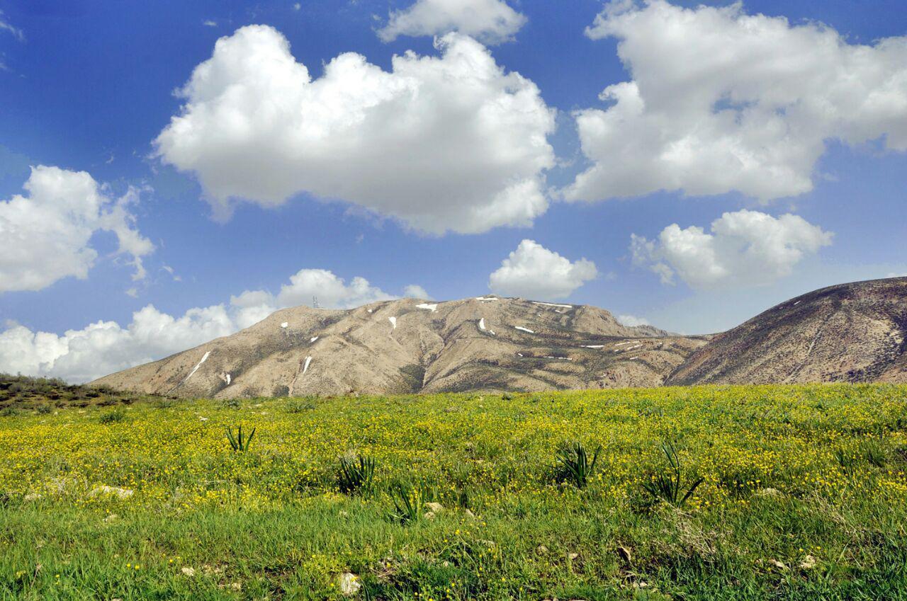 بوم گردی در اردل
