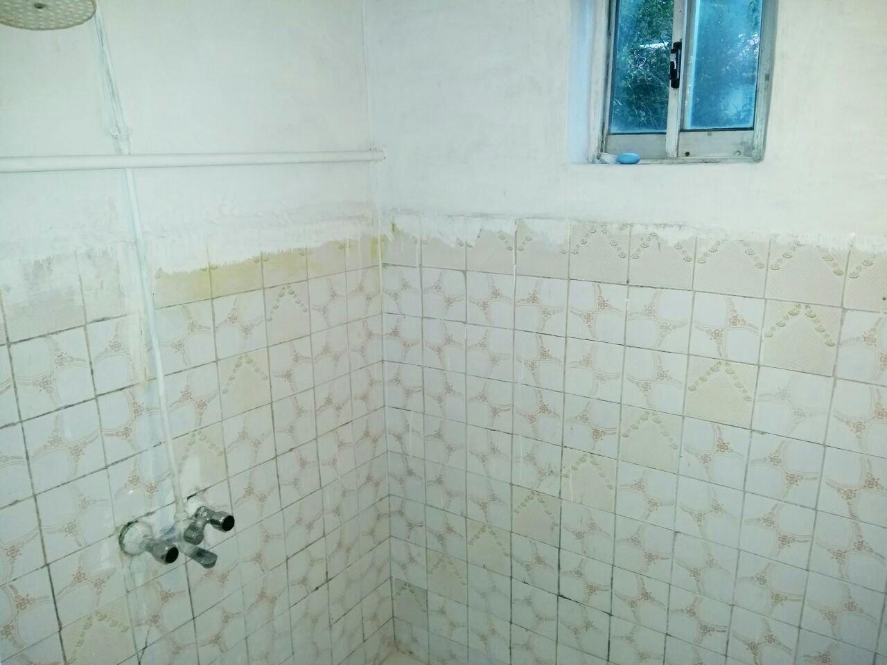 باغ ویلا در تالش جنگلی دربست 