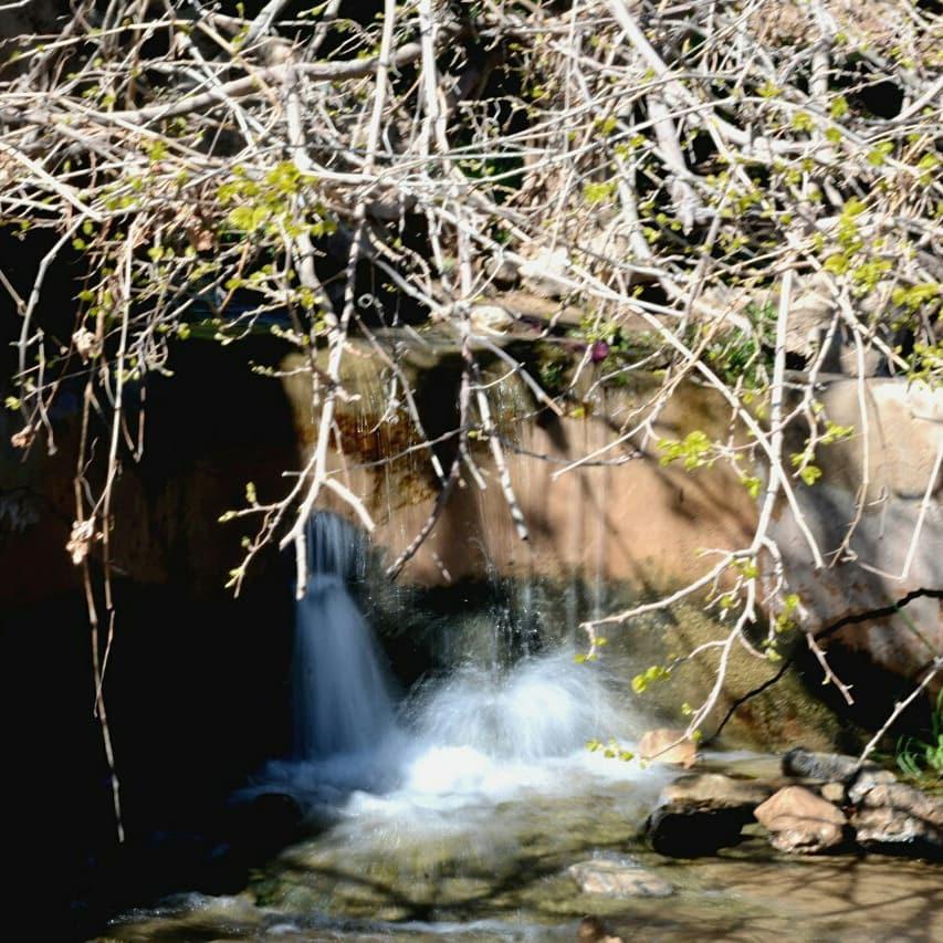 اتاق توبنه