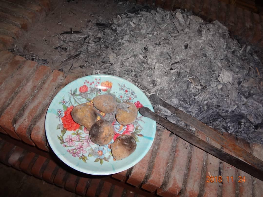 اتاق رز