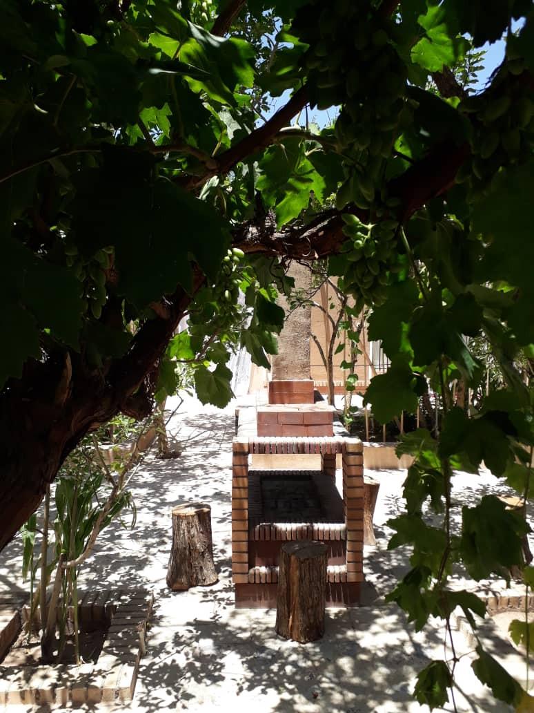 اتاق نرگس