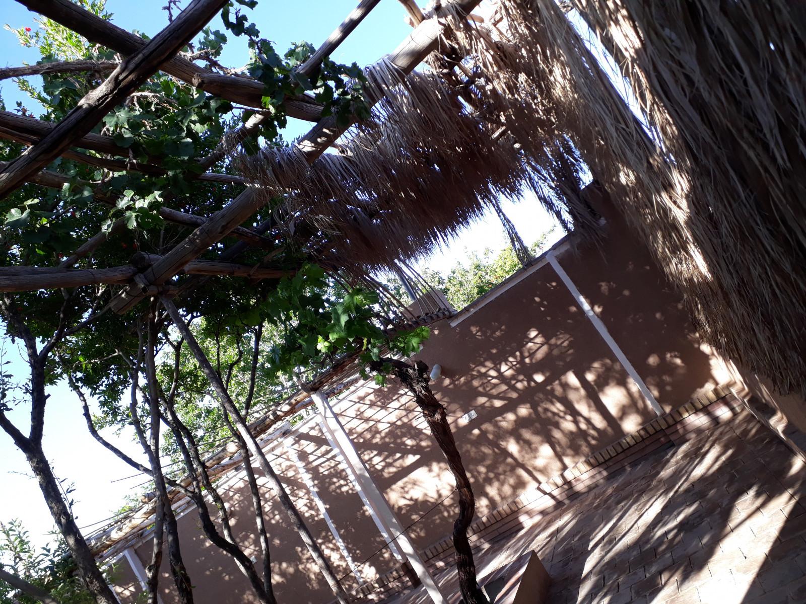 اتاق نرگس