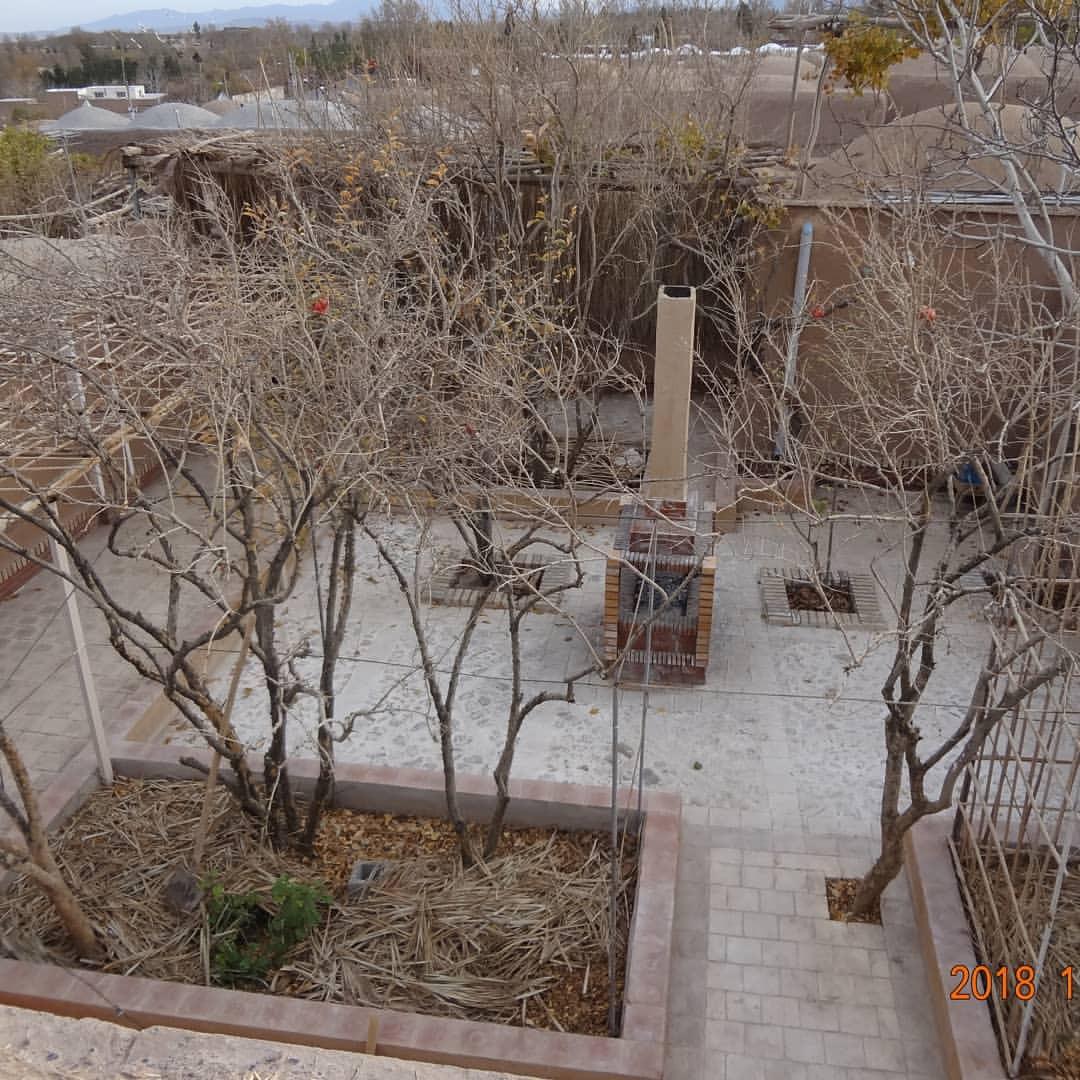 اتاق نرگس