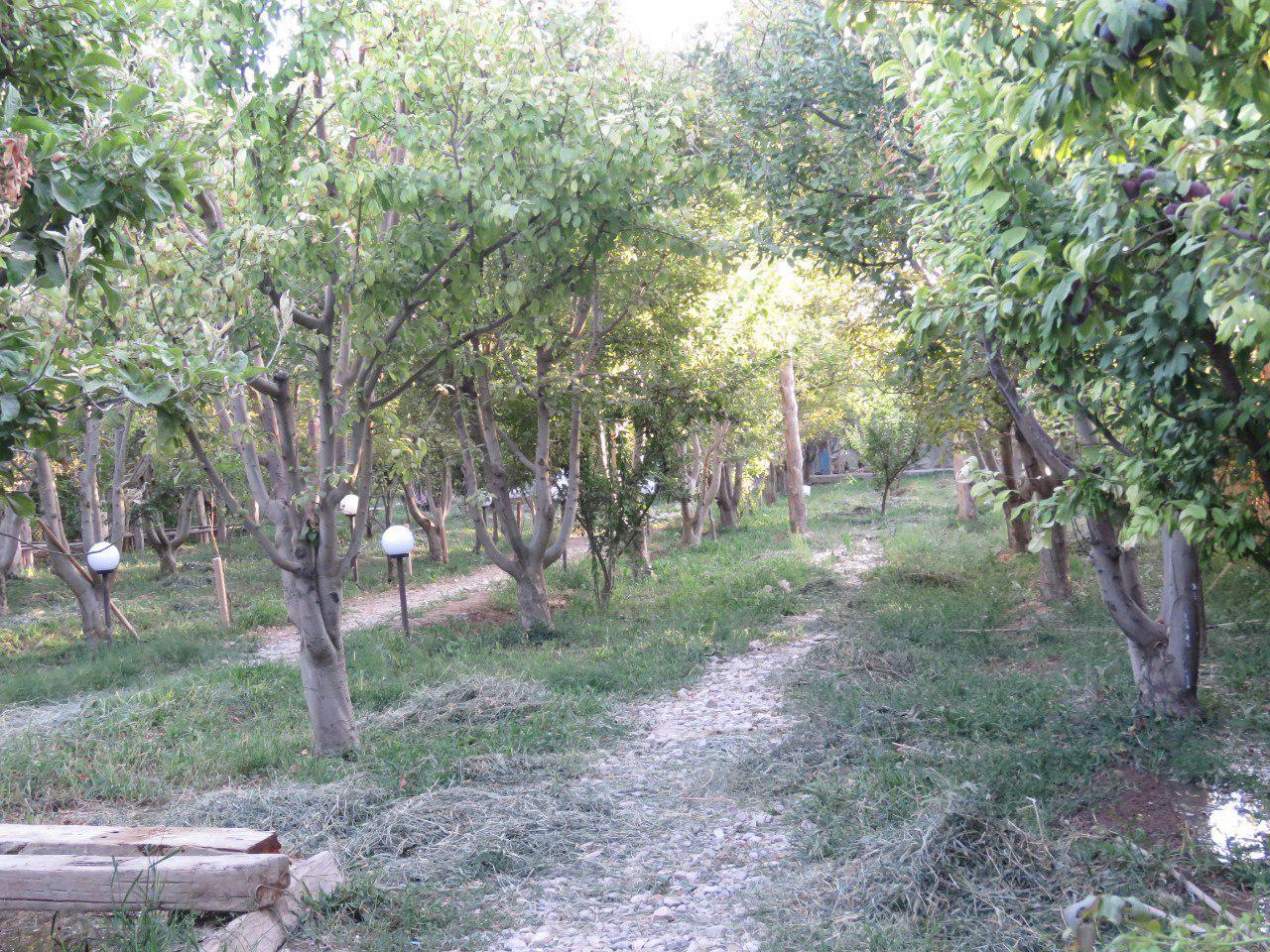 بوم گردی در بجنورد