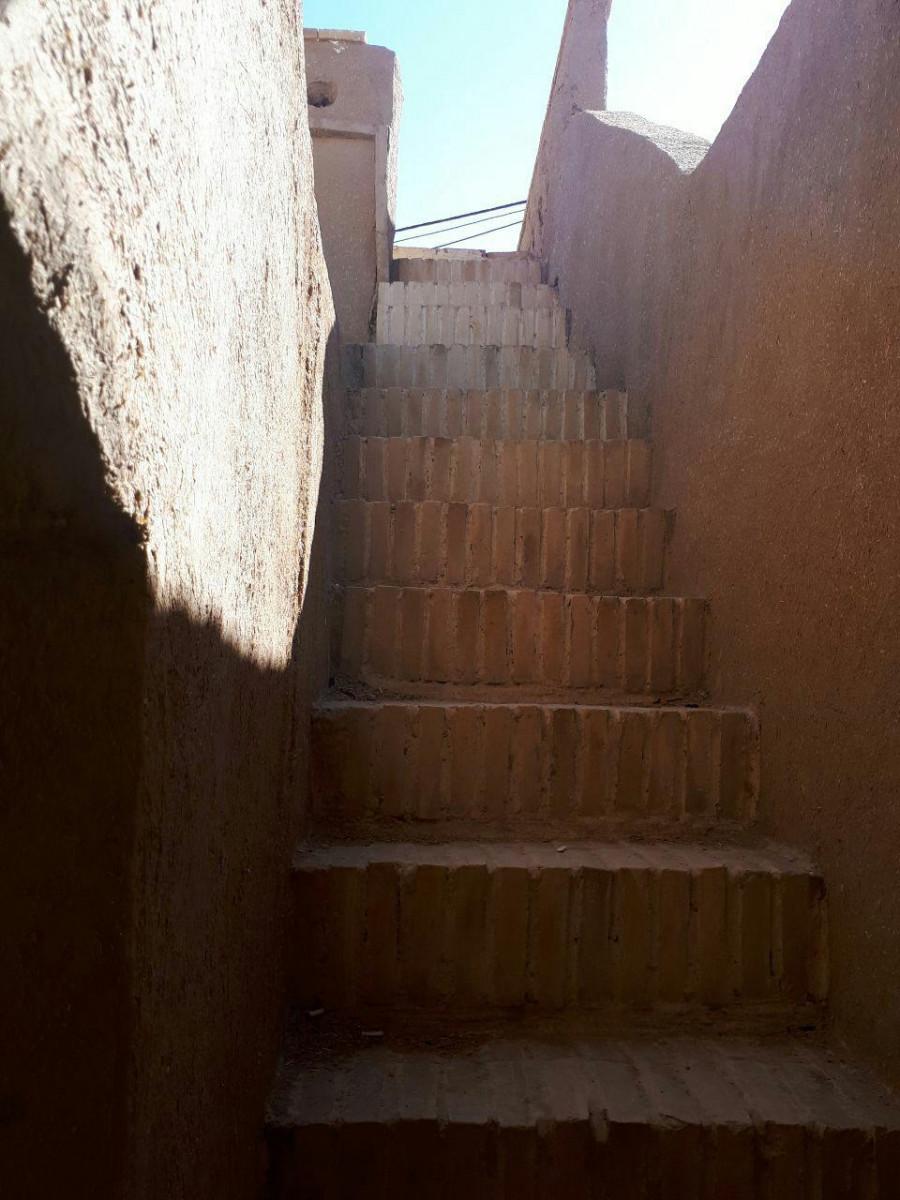 اتاق 12 نفره