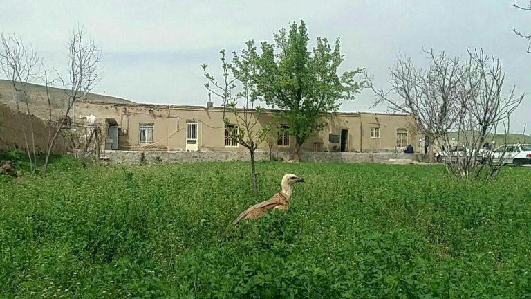 اقامتگاه بوم گردی کلات