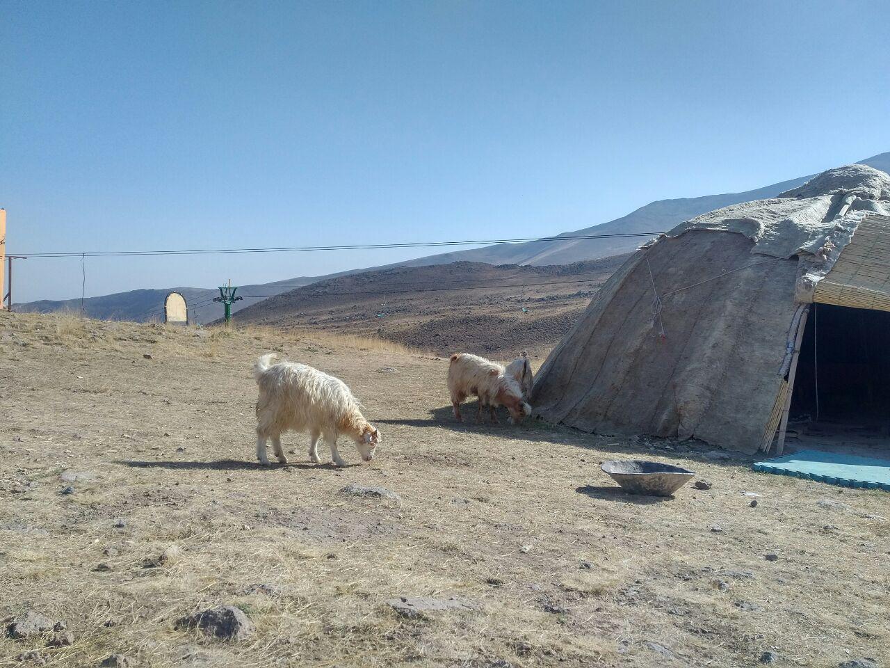 بوم گردی در سرعین