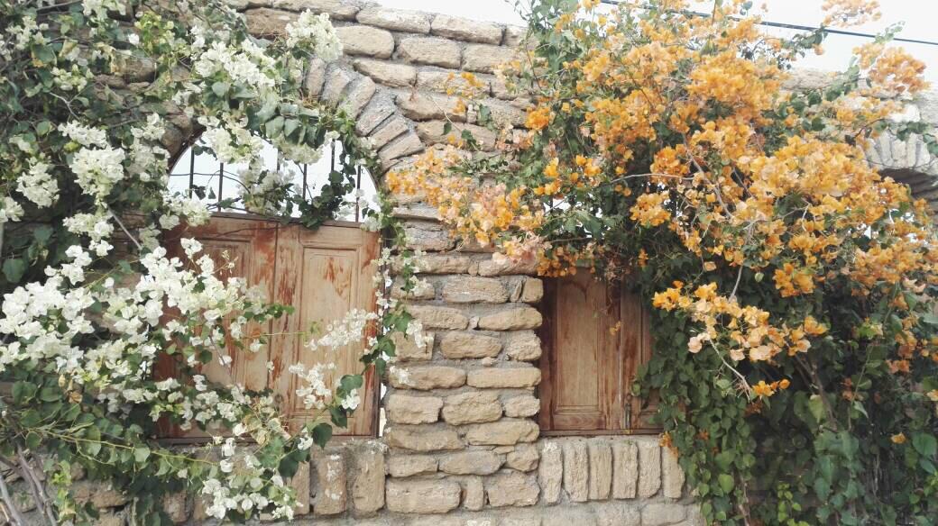 بوم گردی در بوشهر
