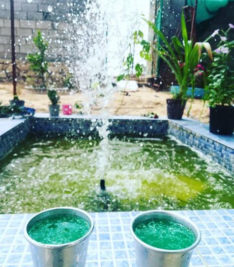 خانه بوم گردی در شهر بوشهر