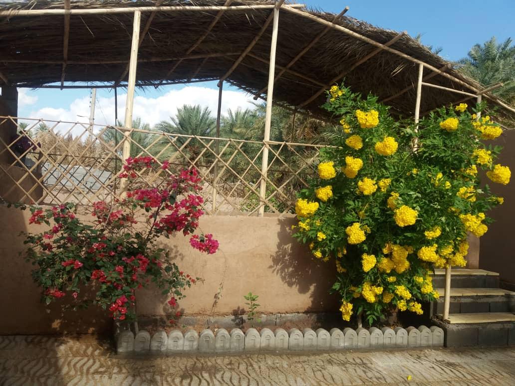 اتاق 12 متری