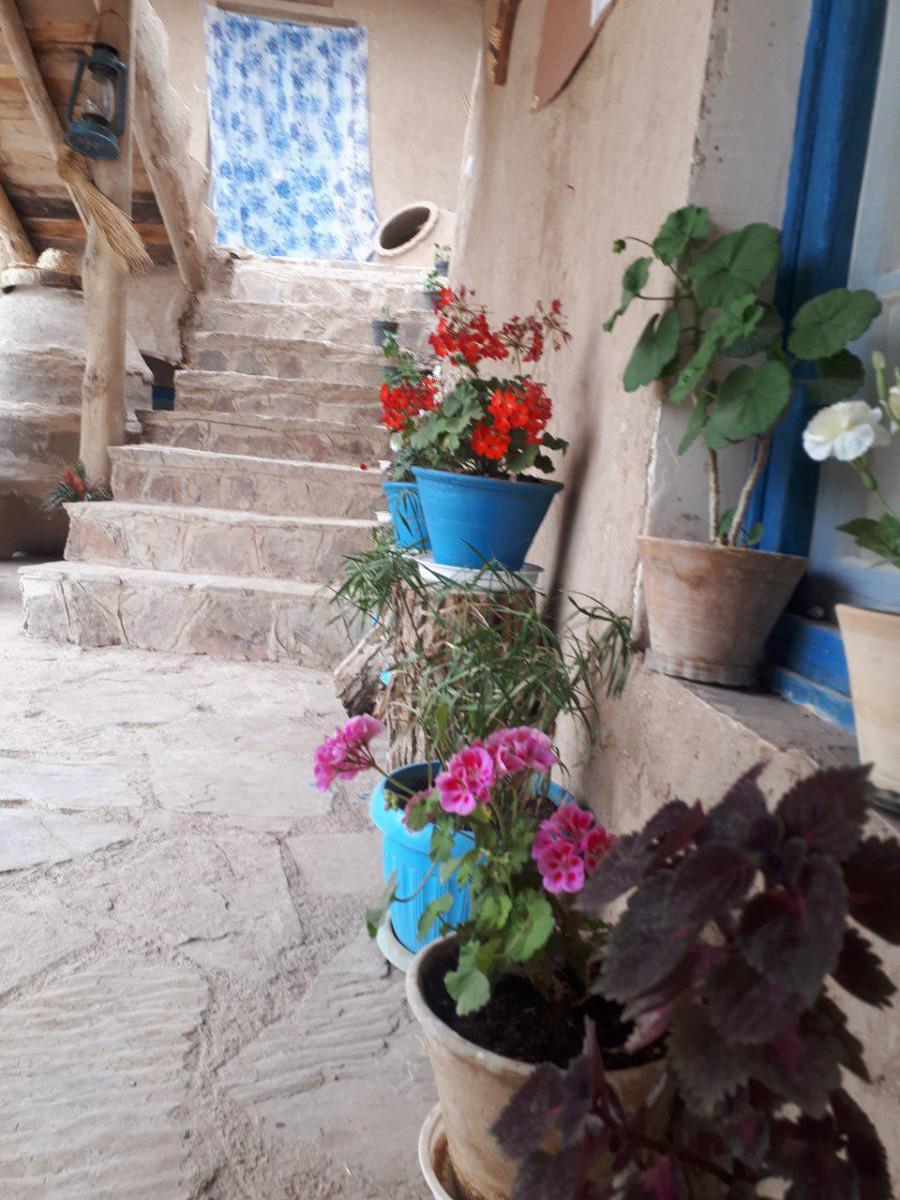 بوم گردی در بینالود