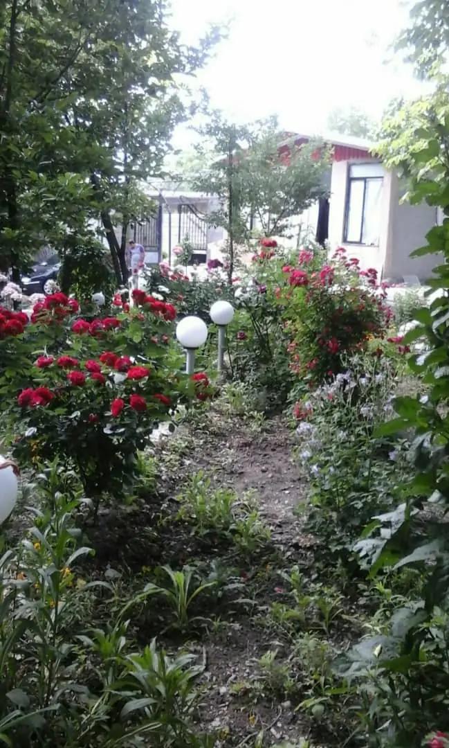 اجاره اقامتگاه بوم گردی بافت