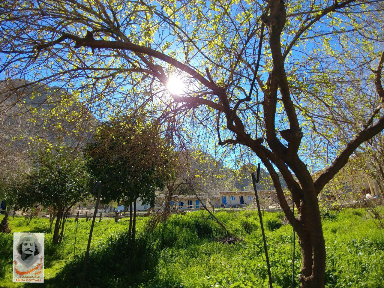 بوم گردی ایذه
