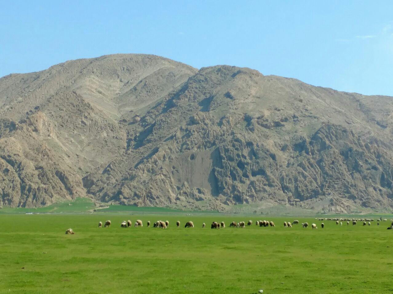بوم گردی در ایذه