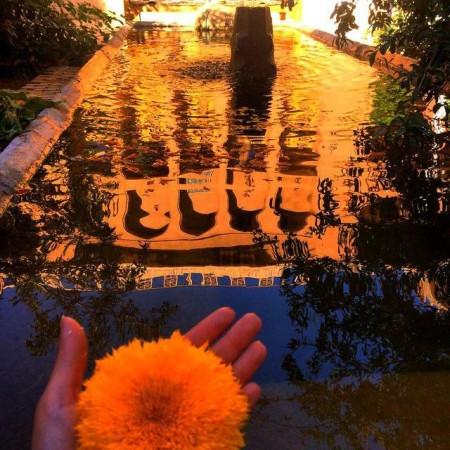 اقامتگاه بوم گردی در یزد