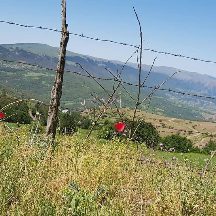 بوم گردی سیاهکل