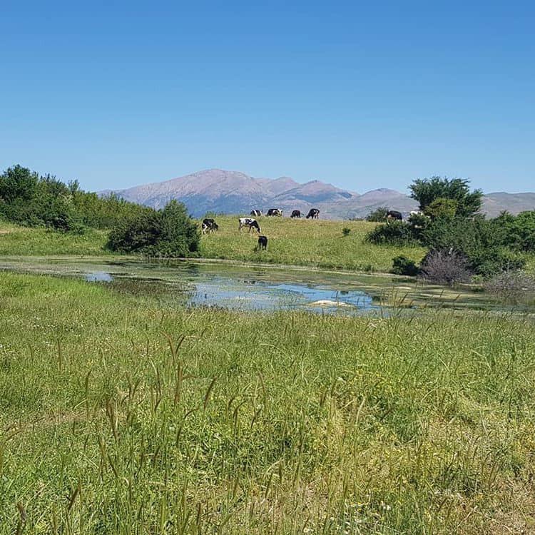 خانه دربستی