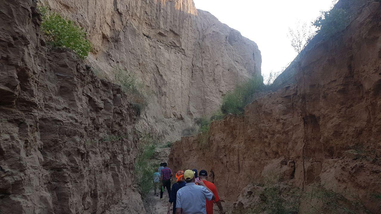 اتاق نوا