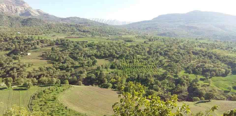 اتاق 1