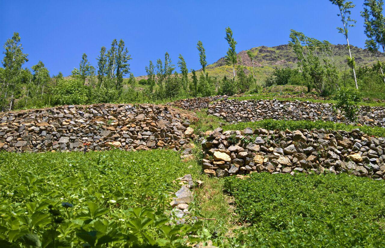 اجاره بوم گردی در سنندج