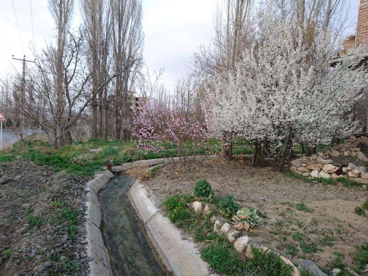 اتاق 1
