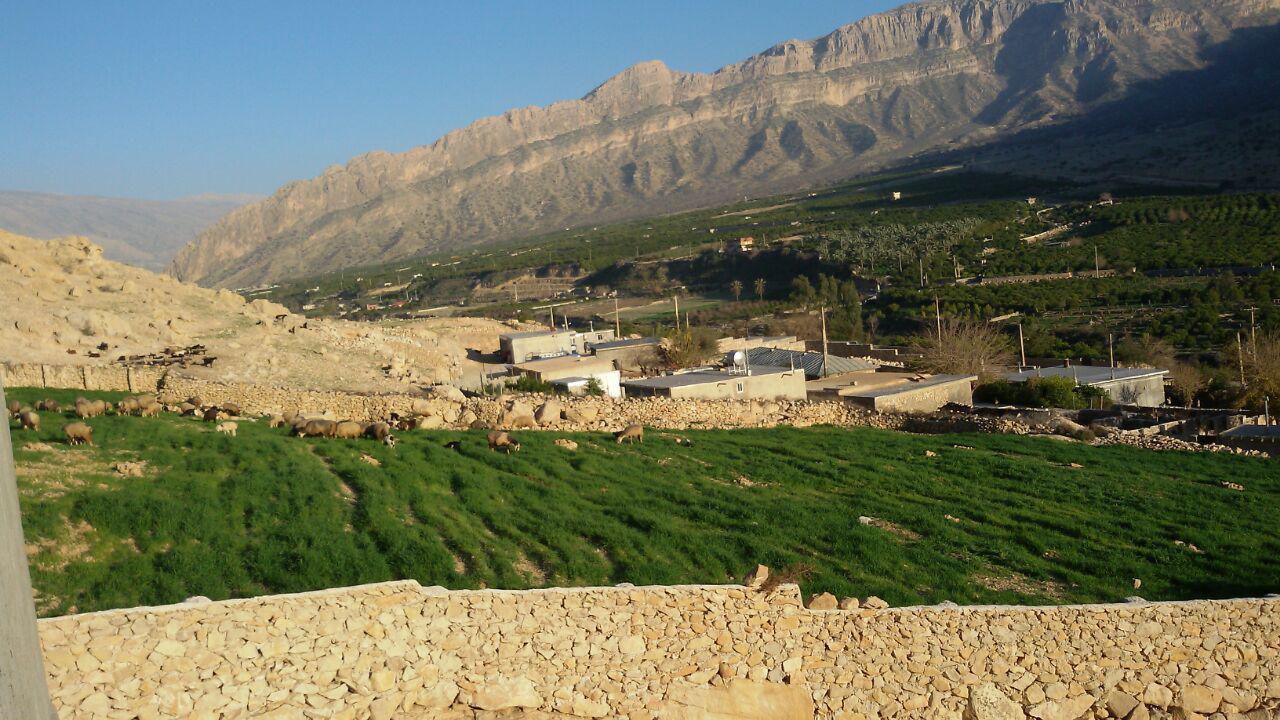 اتاق 25 متری مستر