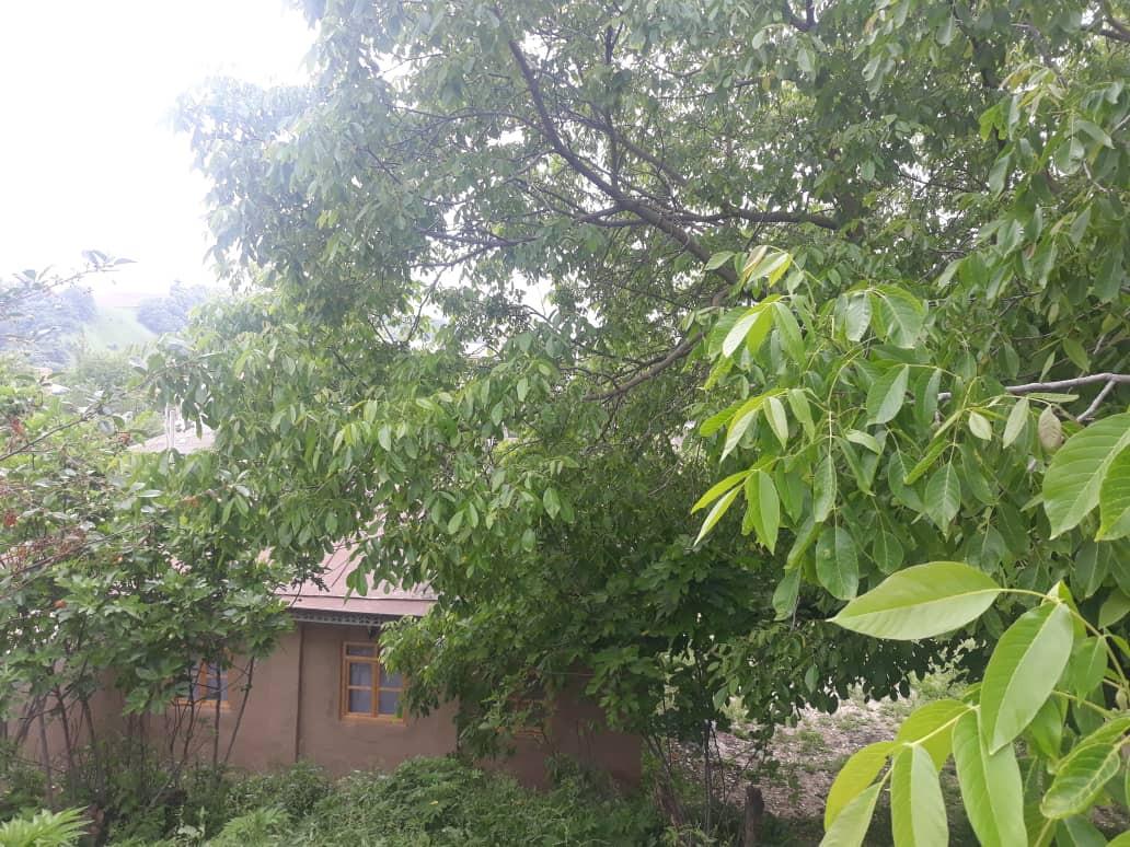 اتاق سنتی 1