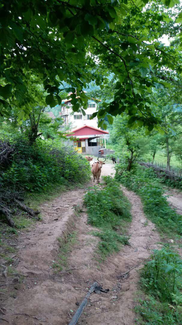 خانه بوم گردی در رودبار