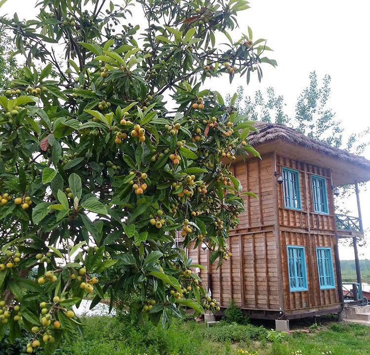 بوم گردی صومعه سرا