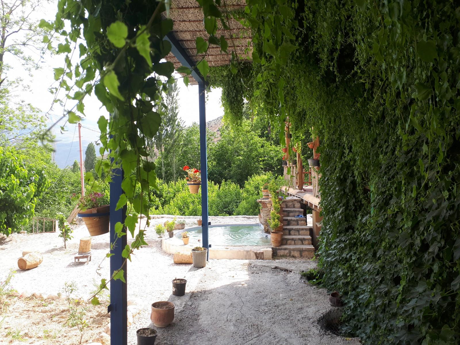 سوئیت هیرکانی