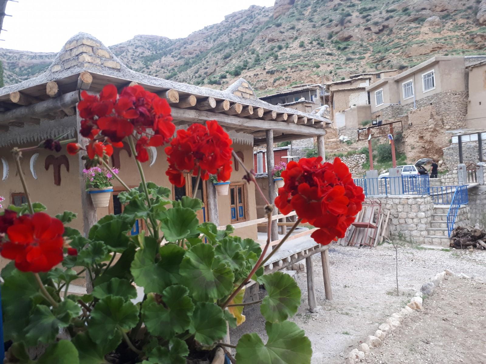 سوئیت هیرکانی