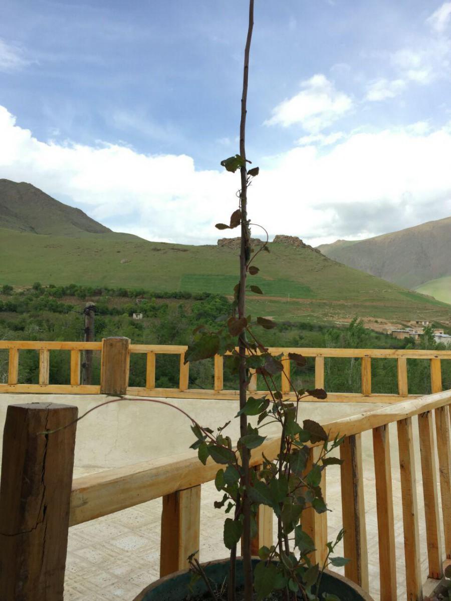 اتاق سنتی 1