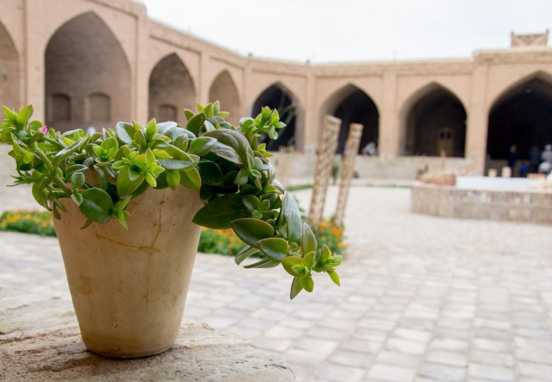 اجاره بوم گردی طبس مسینا